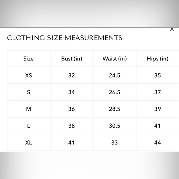 Endless Rose ~ PLUNGING NECK LACE TRIM DRESS - Picture 7 of 7